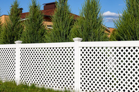 White Vinyl Fence In A Cottage Village. Tall Thuja Bushes Behind The Fence.