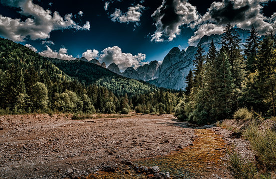 Val Saisera - sentiero alberi di risonanza