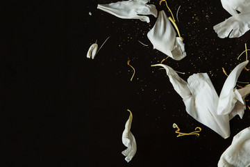 White peony flowers decor. Peony petals flat lay on a black background. Beautiful minimalistic white flowers petals close-up photo.
