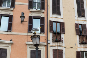 In the footsteps of history