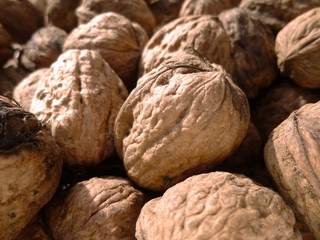 Plate of freshly picked walnuts