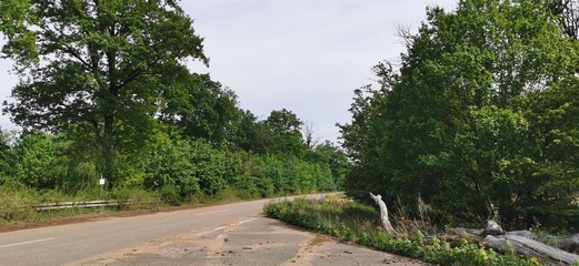 former German autobahn renaturation