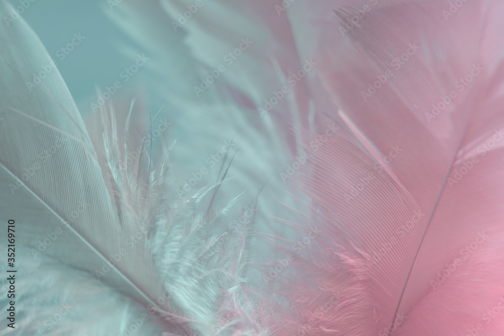 Aufkleber exotic texture feathers background close up. pink and aquamarine feathers pattern for your design. m