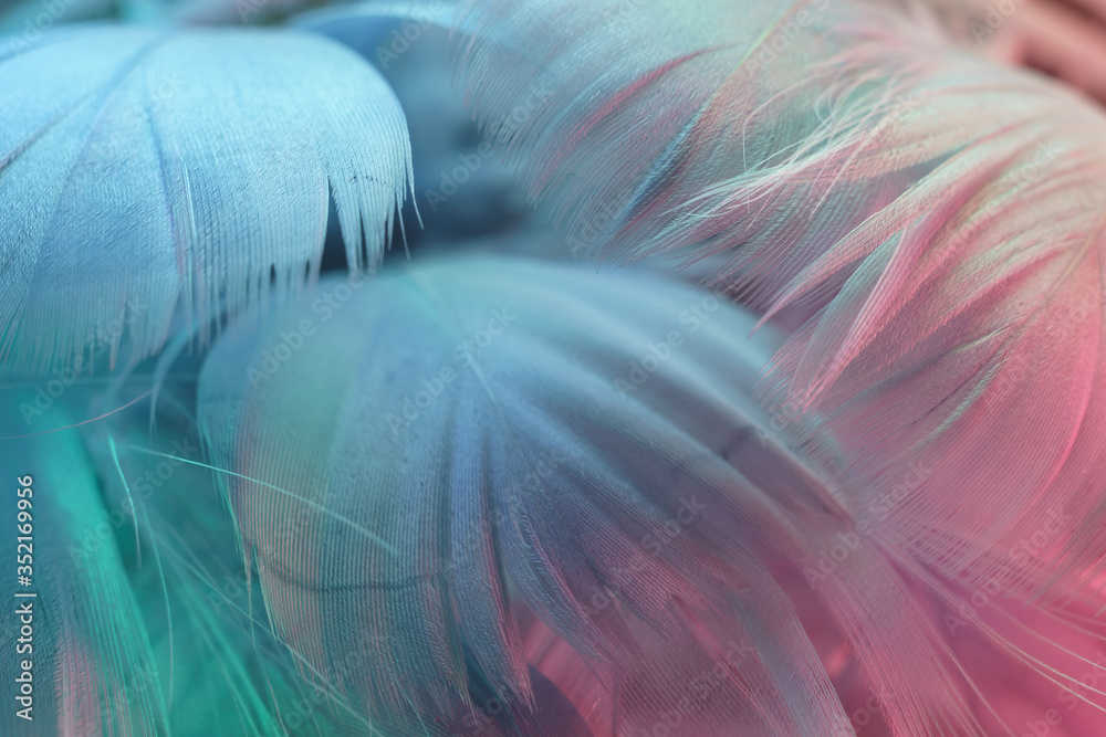 Aufkleber exotic texture feathers background close up. gray, blue feathers pattern for your design. macro phot