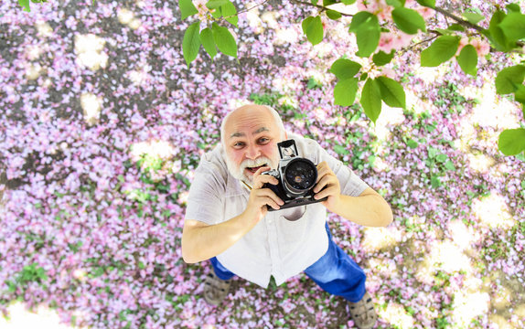 Happy moments. travel and walking in cherry park. hobby at retirement. tourism and holiday. traveler camera man under sakura bloom garden. travel concept. male photographer enjoy cherry blossom