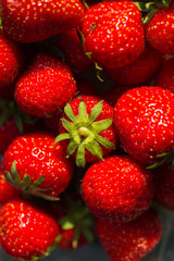 Close-up of ripe red strawberries