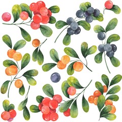watercolor illustration, set of branches with green leaves and different berries, isolate on a white background, floral decor