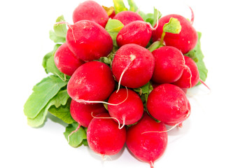 Frische und Reife Radieschen