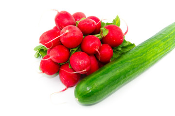 Frische und Reife Radieschen mit Salatgurke