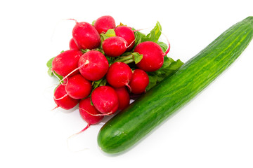 Frische und Reife Radieschen mit Salatgurke