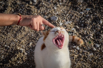 Mykonos Island in Greece is one of the most popular tourists destinations for those seeking Meditteranean spirit.