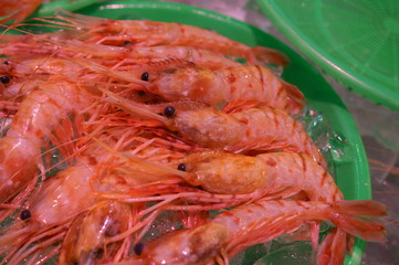 Shrimp for sale in the Japanese fish market