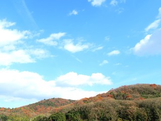 日本の田舎の風景　12月　初冬の山の木々　裸木と青空