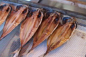 Buy dried fish in the Japanese market