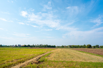 Blue sky and white cloud over land background