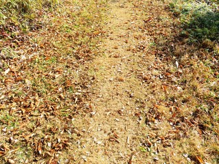 日本の田舎の風景　12月　初冬の田舎道