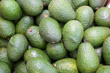 Green avocado in a box