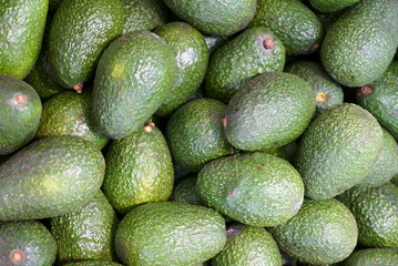 Green avocado in a box