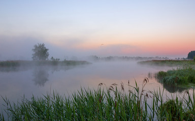 Fototapeta na wymiar Summer sunrise over the lake