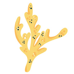 Vector coral. Bright sea element isolated on white. Beautiful underwater flora and fauna stickers. Hand drawn sea weed.