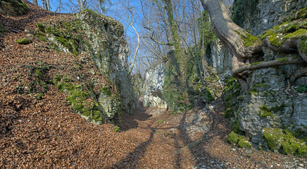 Fototapete bei efototapeten.de bestellen   