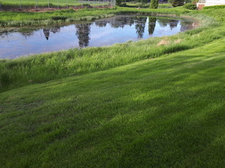 Reflection of trees in a small pond surrounded by grass - Fetsund 