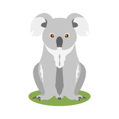 Vector illustration of sitting koala isolated on white background