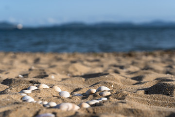 写真素材: ハートの形の貝殻と綺麗な海