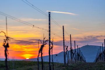 Obraz premium Sunrise in Palava with Devicky ruins, Southern Moravia, Czech Republic