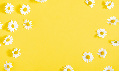 Beautiful flowers composition. Pattern of white daisy. Chamomile on yellow background. Summer...