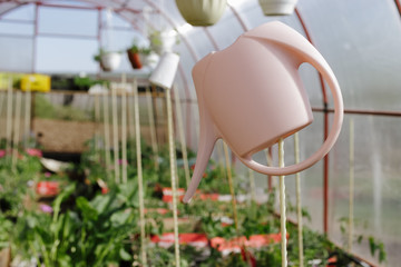 Inverted pink plastic watering can, for watering garden plants. copy-space