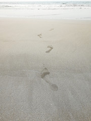 Footprints on a sandy beach leading to the sea. Steps on the sand, the concept of vacation and recreation. Vertical photo