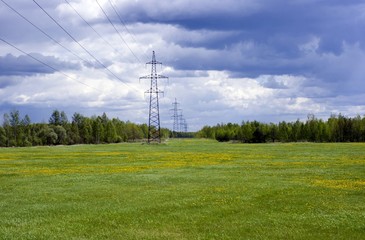 Fototapeta na wymiar Landscape with green field and forest in the distance with electric power poles extending to the horizon