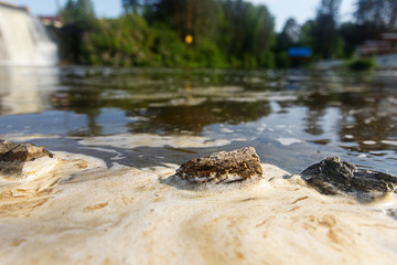 yellow foam on the lake