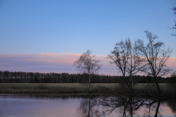 Trees on the shore of the pond at sunset against the blue sky