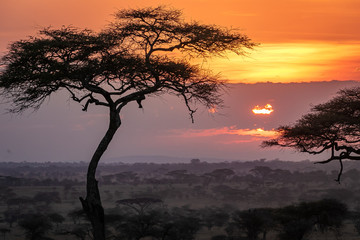 タンザニア・セレンゲティ国立公園の、雲間から見える色鮮やかな朝焼けとアカシアの木
