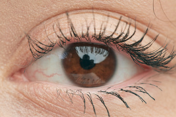 Beautiful brown eye of a Caucasian girl, with long lashes, close-up.