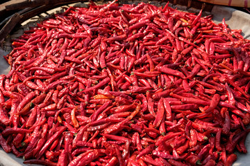 Fototapeta premium red hot dry chili peppers