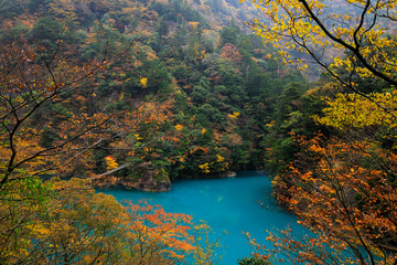 beautiful nature landscape emerald river in middle of the valley autumn season in japan.