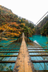 wooden bridge suspension over green river in natural forest autumn season japan .