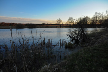 Trees on the shore of the pond at sunset against the blue sky