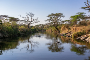Fototapeta na wymiar タンザニア・セレンゲティ国立公園のモーニングサファリで見た、快晴の青空と川に反射する風景