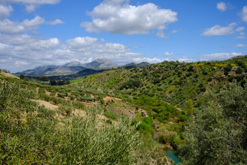 Fototapeta na wymiar Colors of Andalucia