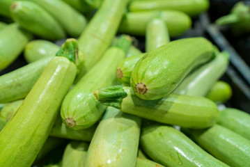 fresh zucchini standing at the market counter

