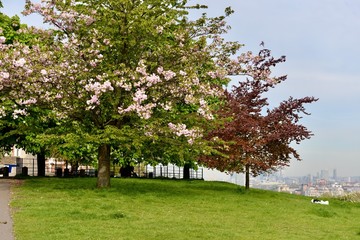 世界遺産　グリニッジ天文台　greenwich