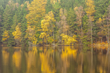 Autumnal lake shore with forest under sky. Trees on rock coast of rippling lake in autumn sunny day. Beautiful panoramic landscape with yellow trees on big stones and lake.