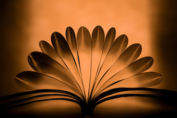 silhouettes of orange light hitting the back of book pages folded like flower shape. seamless...