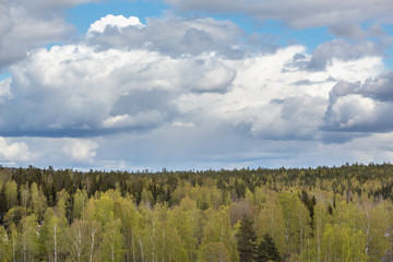 Dark clouds before the storm over a forest in Sweden. Thunderclouds in the sky before the rain.