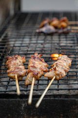 Thai street food-kebabs on the grill. fried pieces of pork on the coals. vertical close-up photo. outdoor