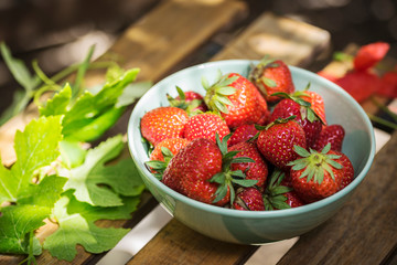 Bowl of red strawberries on a wooden garden table surrounded by green leaves.